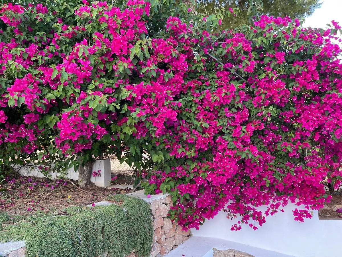 Es Queixal - Can Canet Con Piscina Exterior Climatizada كالا فاديلا بيت للعطل